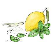 Citronella (Special Edition) Zitrone & Basilikum